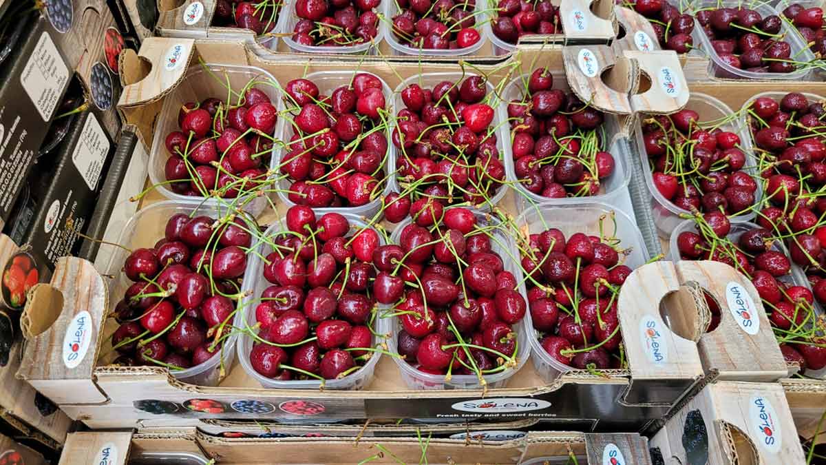 Ciliegie - Trentino - 3,50 euro al chilogrammo
